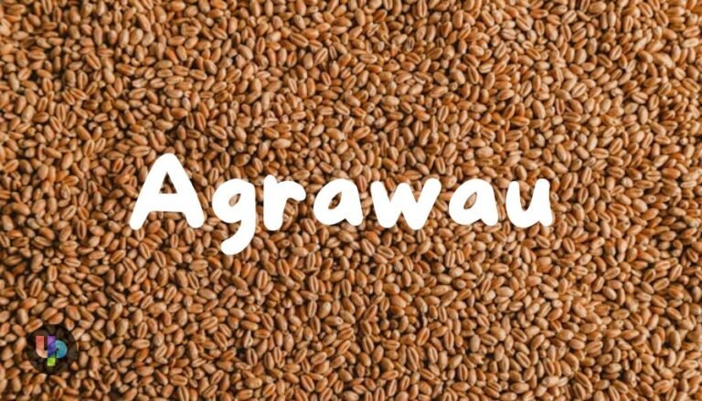 Agrawau